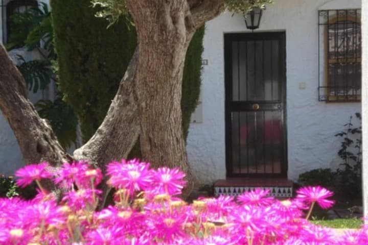El Capistrano Sur photo 3