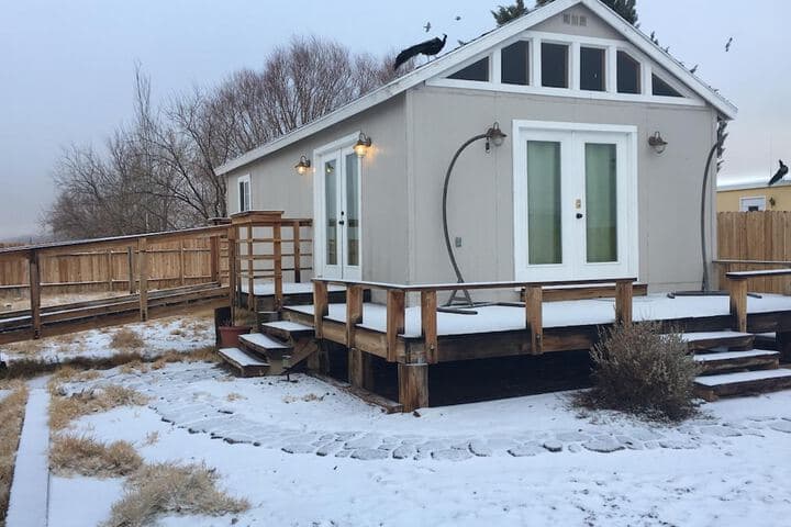 Shady Lady Bed & Breakfast photo 3