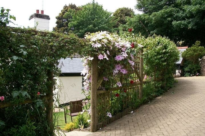 Frogwell photo 4