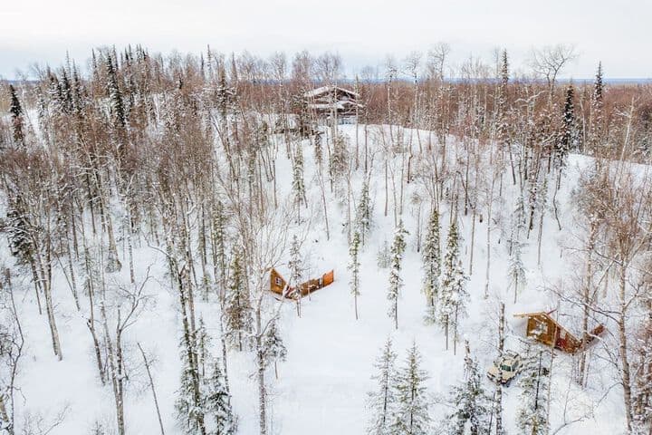 Spruce Cabin photo 3
