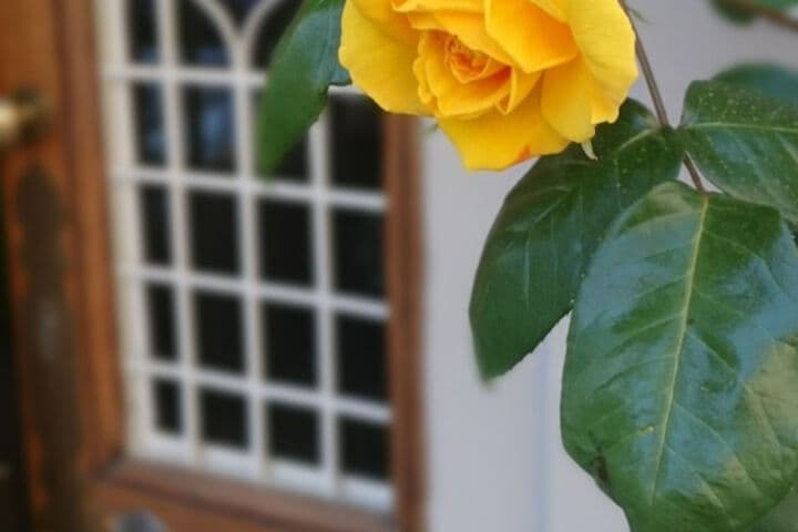 PrendiTempo photo 4