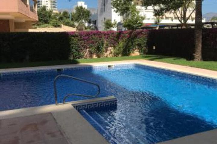 Apolo photo 2