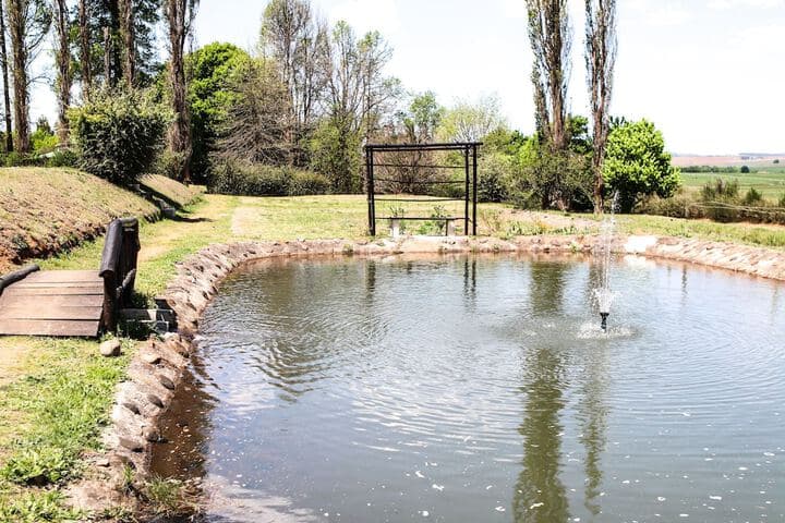 The Old Hatchery photo 3