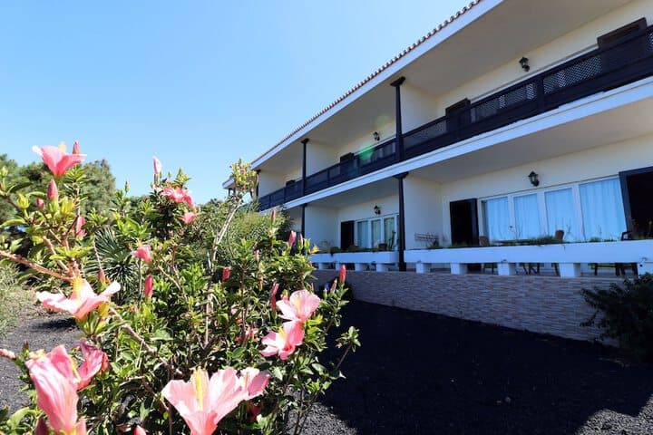 Apartamentos Miranda photo 4