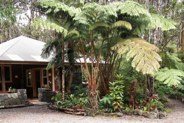 Volcano Mist Cottage photo 4