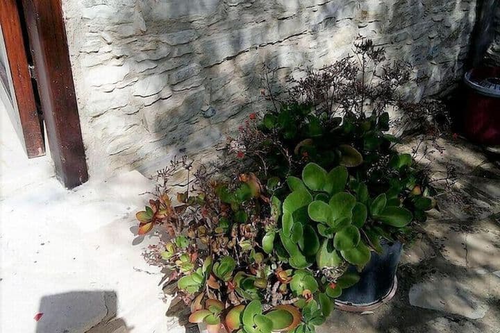 Romios Holiday Apartments photo 3