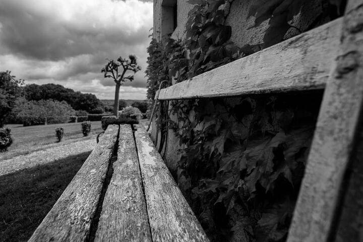 Domaine Des Ormeaux photo 2