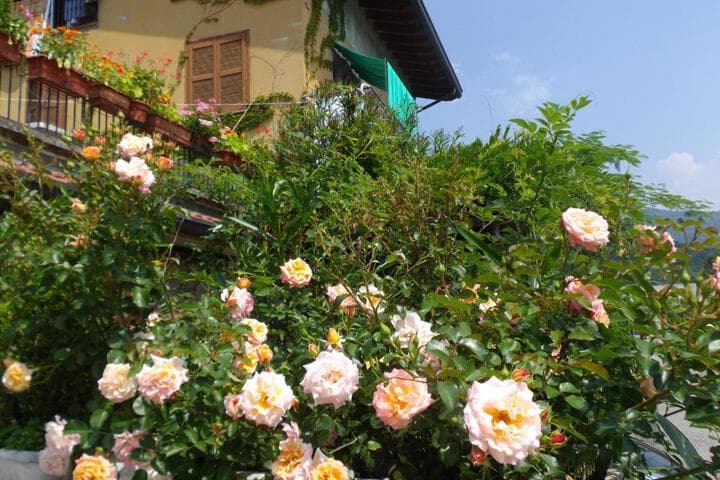 Il Giuggiolo photo 4