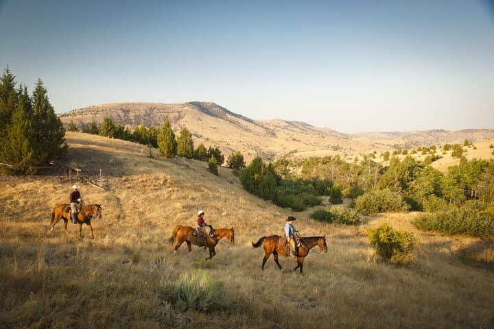 Wilson Ranches Retreat photo 5