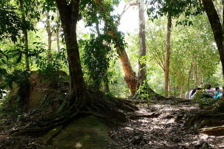 Cat Tien Farm Stay photo 2