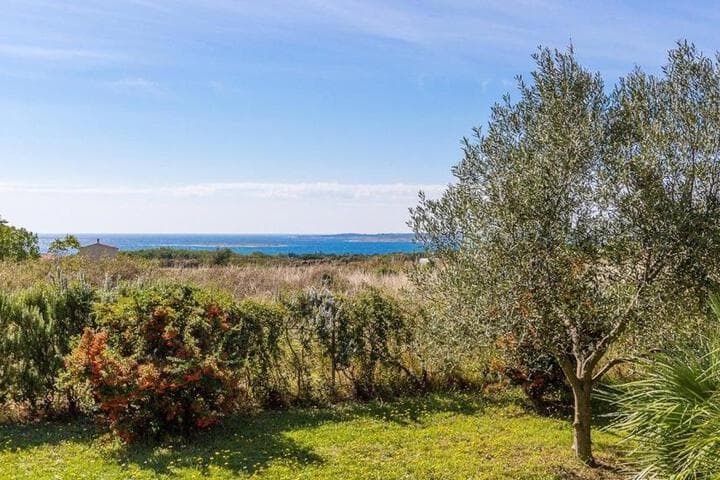 Holiday Home Ondina photo 3