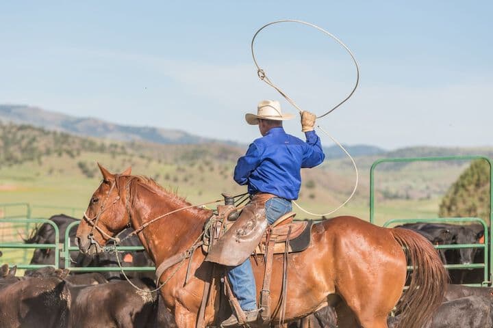 Wilson Ranches Retreat photo 3