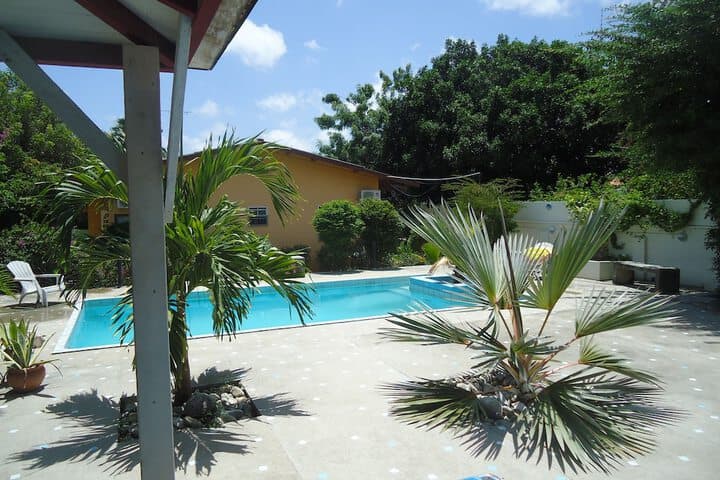 Happy Turtle Apartments photo 5