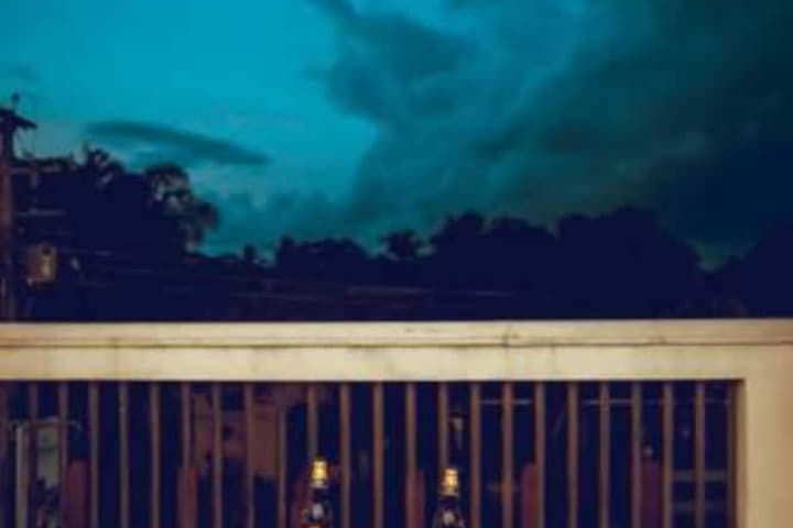 The Terranova Inn photo 4