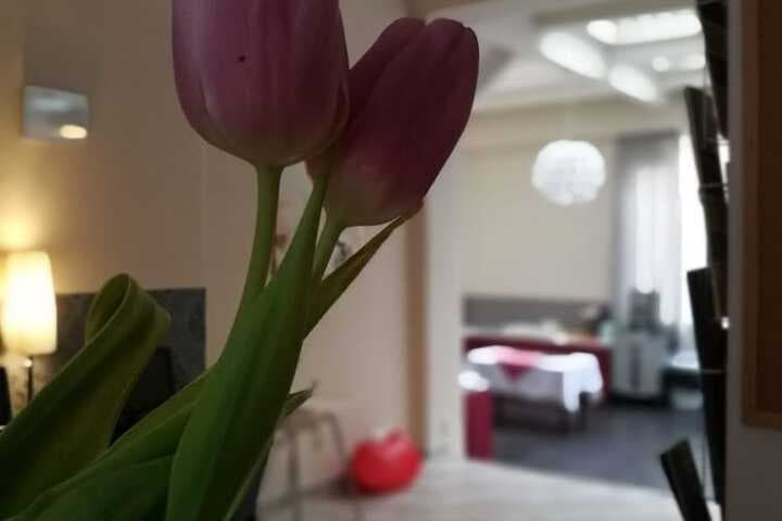 Hotel PurPur photo 3