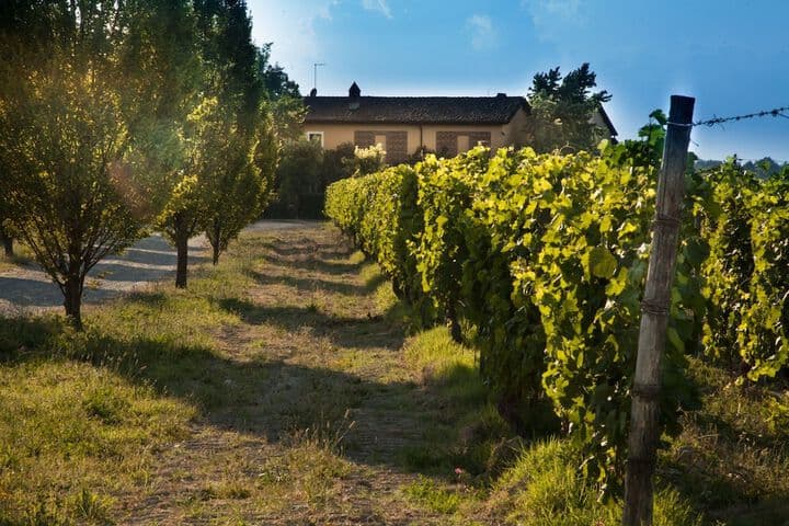 La Tenuta La Meirana photo 3