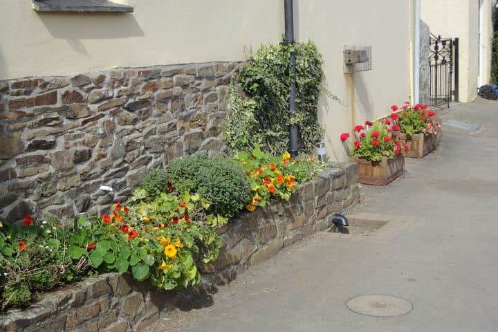 Frankaborough Farm Holiday Cottages photo 4