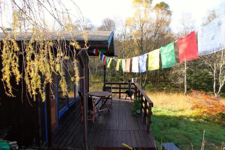 Woodland Retreat photo 4