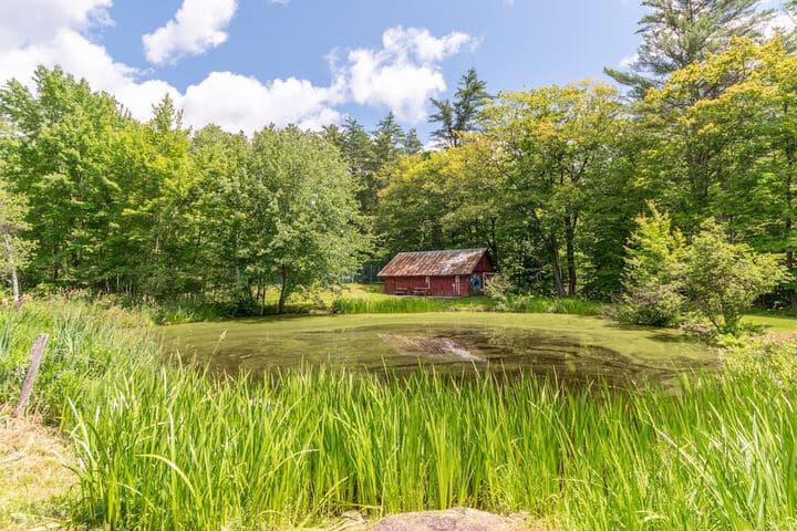 Cranmore Mountain Lodge Bed & Breakfast photo 2