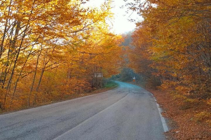 B&B Le Ginestre photo 3