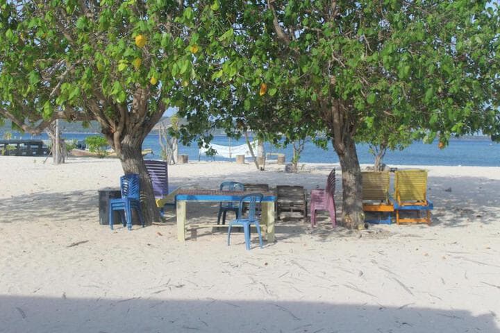 Ocean holiday photo 5