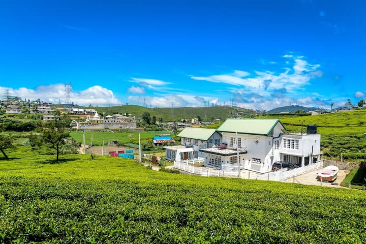 Villa Tea Fields photo 3