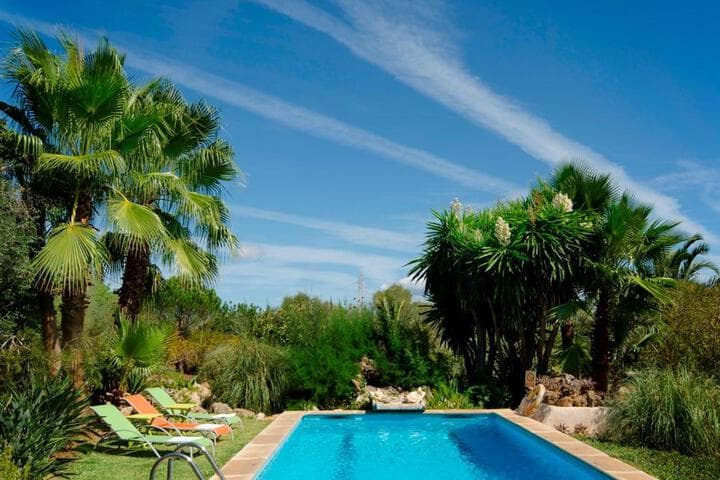 La Torre photo 5