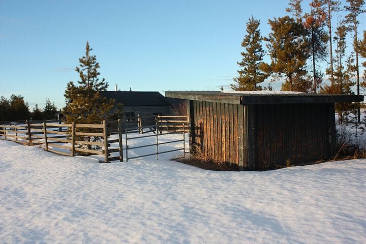 Woodhouse Cottages&Ranch photo 5