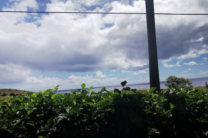 Mataveri Inn photo 5