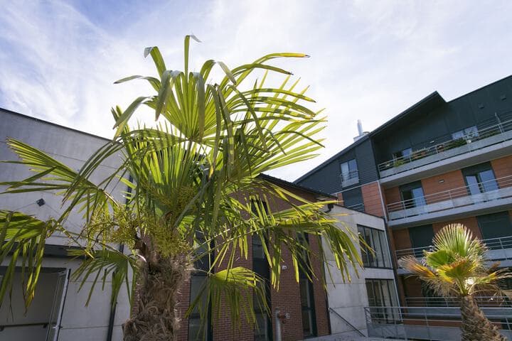 Zenao Apparthôtels Troyes photo 3