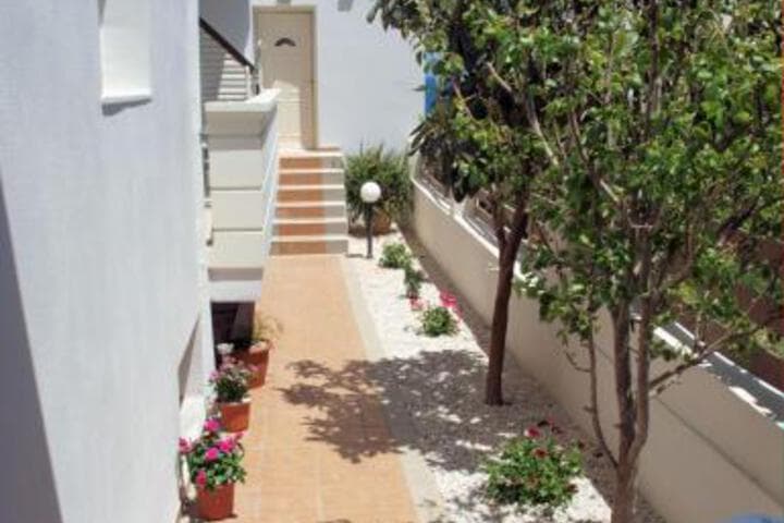 Sofia Apartments photo 5