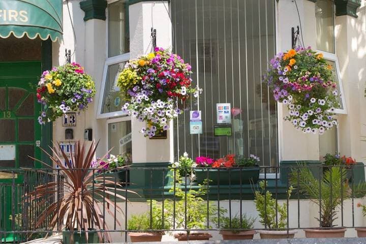 The Firs Bed&Breakfast photo 2