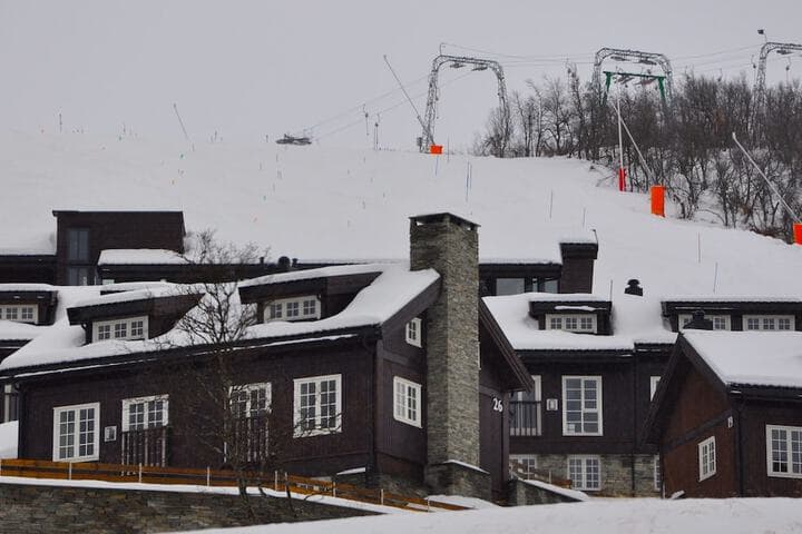 Havsdalsgrenda Apartments photo 4