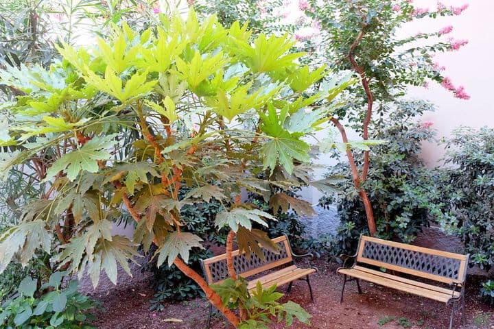 B&B I 10 Mondi photo 2