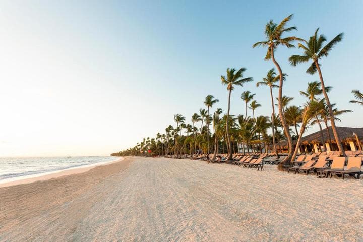 Occidental Punta Cana All Inclusive photo 2