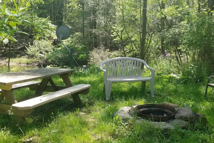 Abrams Creek Center photo 3