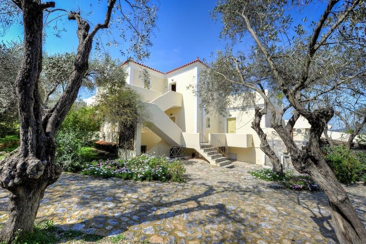 Geras Olive Grove photo 3