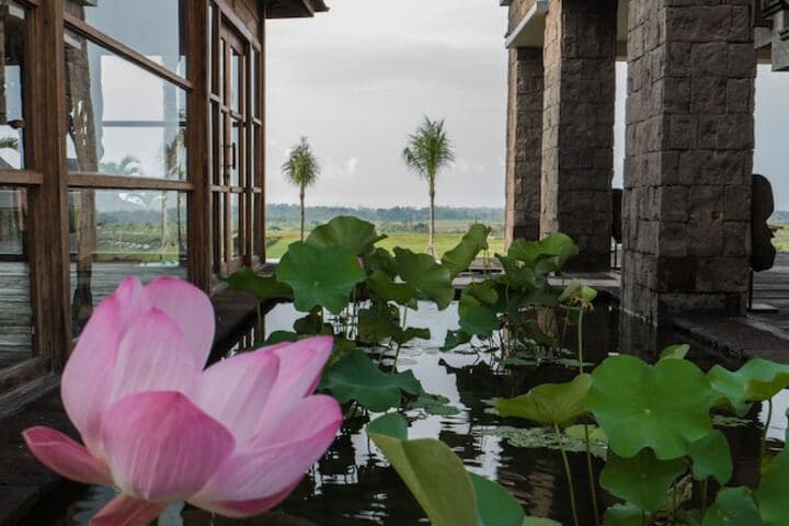 Alami Boutique Villas & Resort photo 2