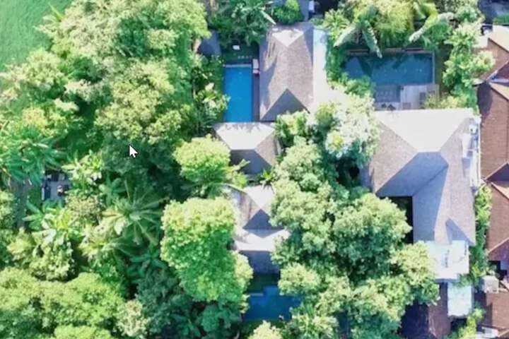 Mango Tree Villas photo 3