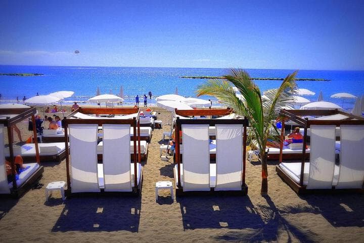 Ocean Park photo 3