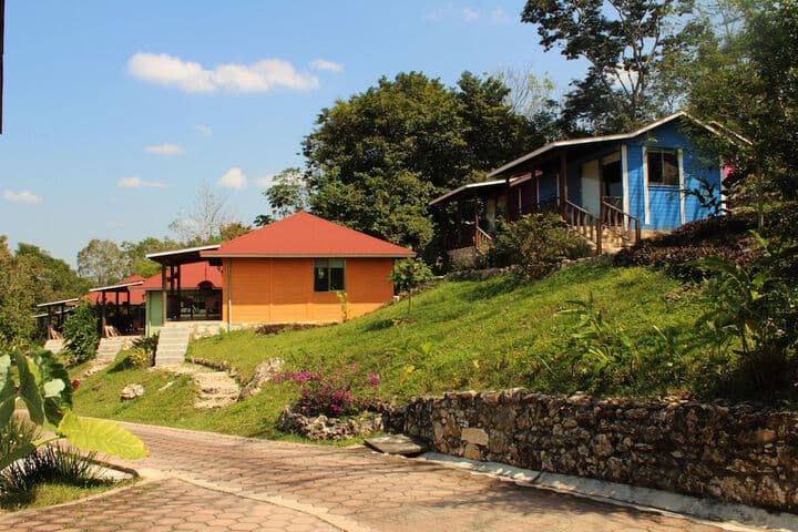 Winíka Alterra photo 2