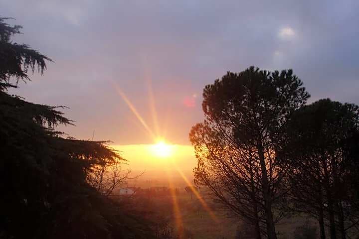 B&B Gabri photo 4