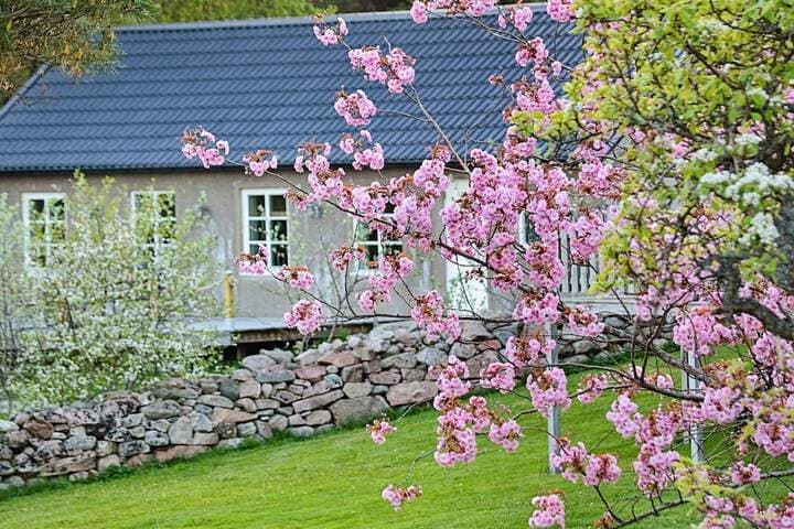 Holiday Home in Varekil photo 3
