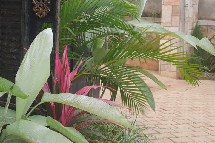 Ntinda View Apartments photo 2