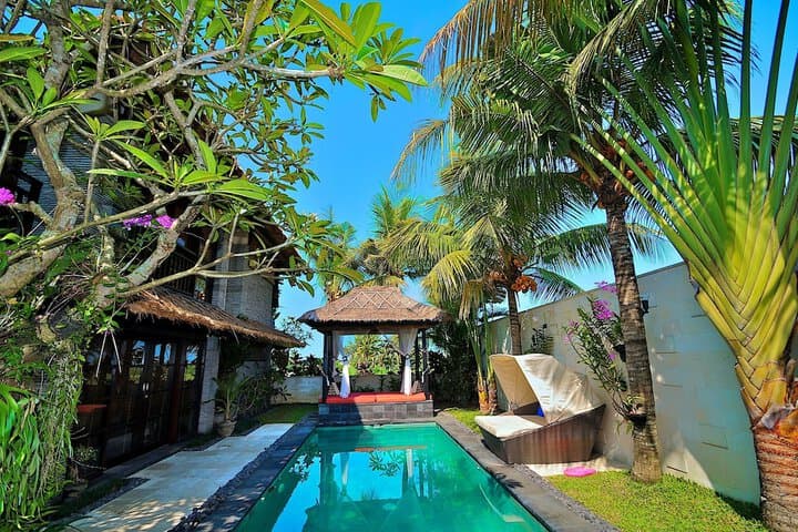 The Zala Villa photo 5