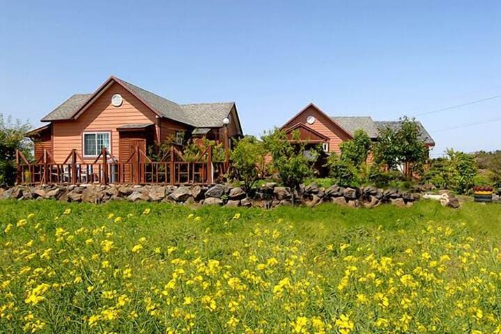 Ebbnsae Pension photo 2