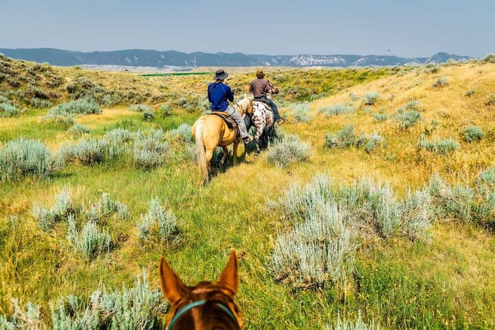 TA Ranch photo 4