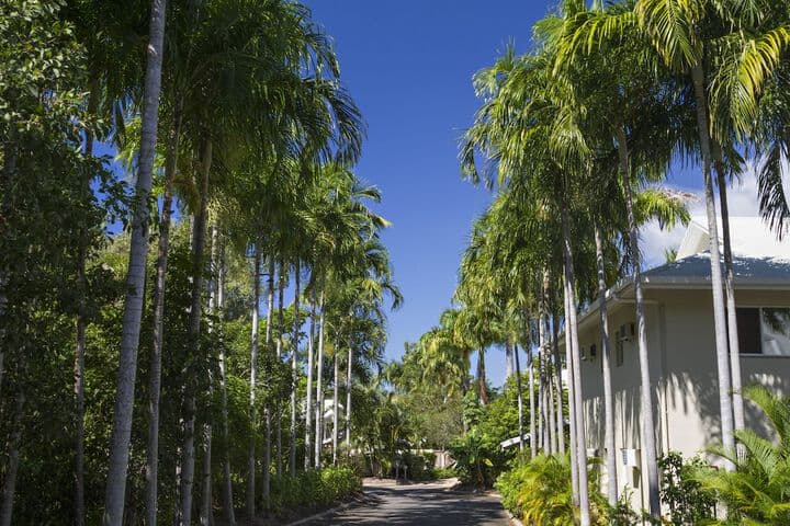 Port Douglas Plantation Resort photo 3