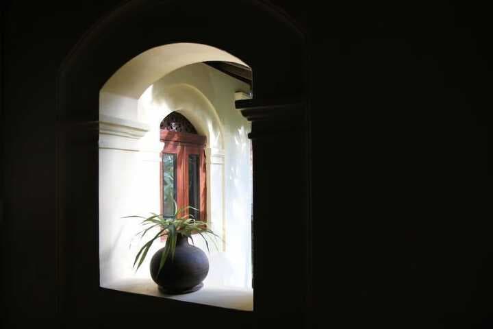 Secret Garden Villa photo 4