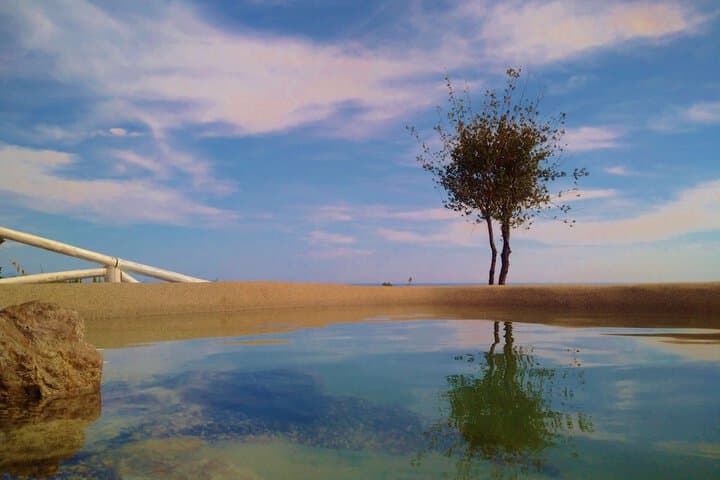 Tenuta Solomita photo 4